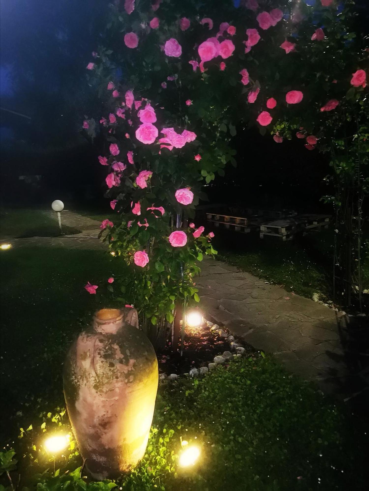 Acquachiara Iseo Deluxe Bed & Breakfast Iseo Center With Garden And Parking Inside Foresteria Δωμάτιο φωτογραφία